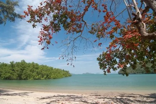 เกาะลิดีเล็ก