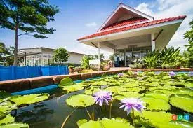 พิพิธภัณฑ์บัว