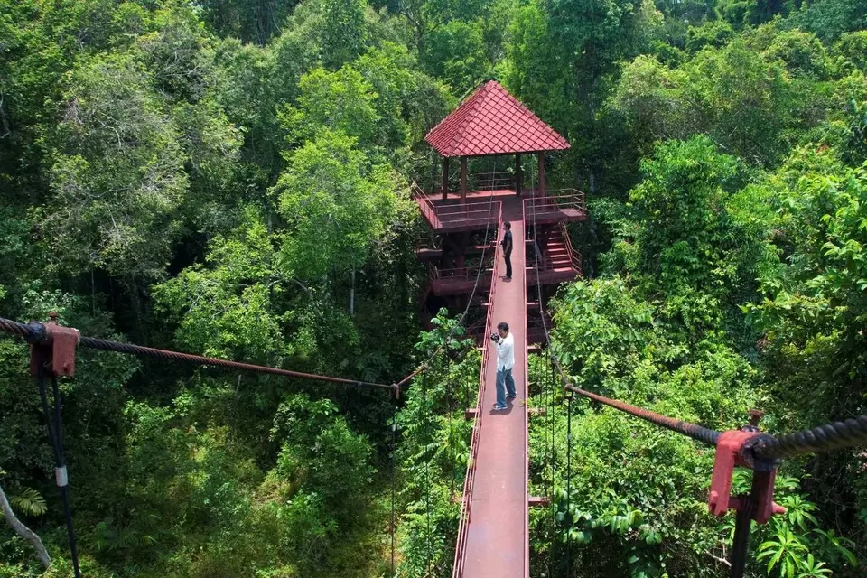 สวนพฤกษศาสตร์สากลภาคใต้-ทุ่งค่าย