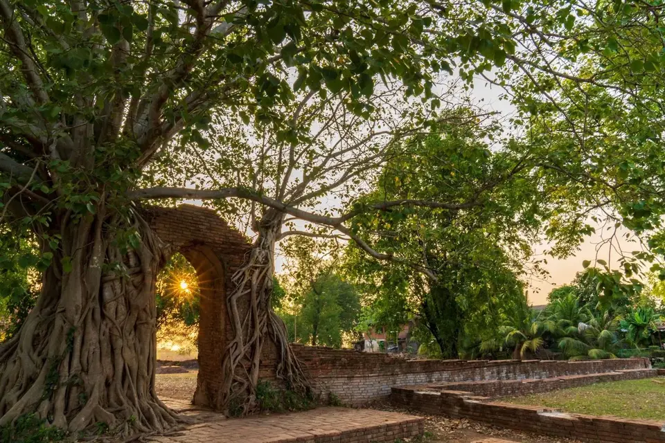 วัดพระงาม